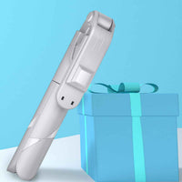 Self Video Portrait Soft Halo Light Stand With Dual LED Light And