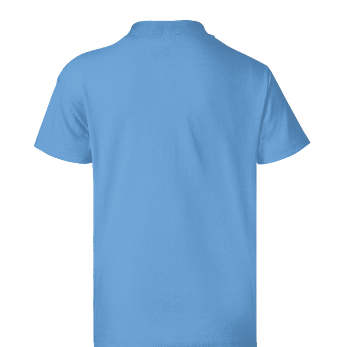 CAROLINA BLUE - 5370 - BACK