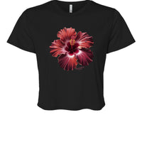 BLACK - B8882 - FRONT